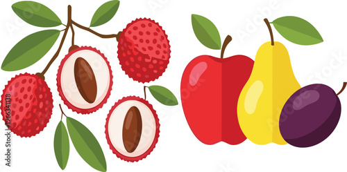 Lychee fruit branch and mixed fruits collection with apple, pear and plum colorful vector illustration set