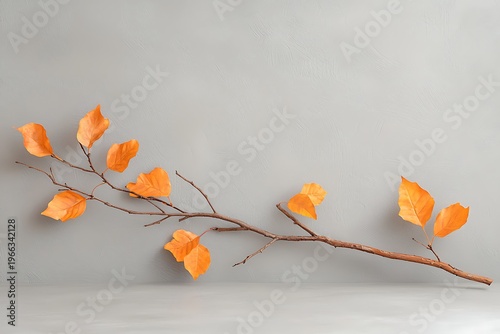 Elegant Branch with Orange Leaves Against a Neutral Gray Background for Autumn Decor