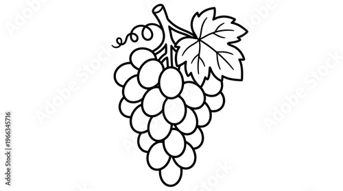 Bunch of purple grapes illustration.