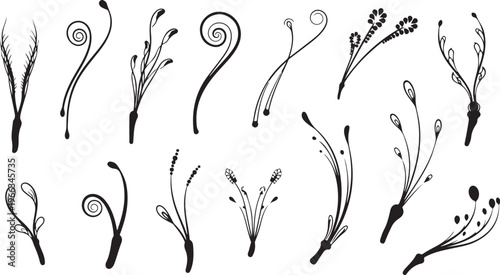 Black and white floral swirls and twirls illustration set