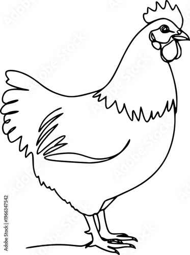 Hen in continuous line art drawing style. Chicken minimalist black linear design isolated on white background. Vector illustration
