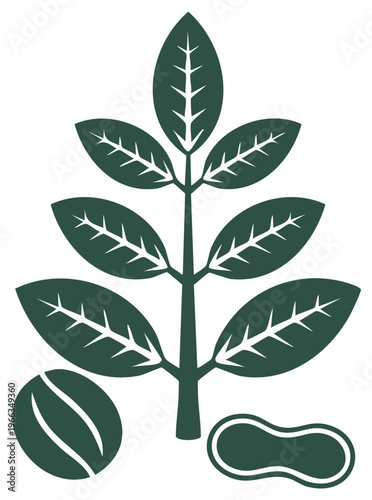 Peanut Plant Vector Graphic with Leaves and Shelled Nut, Dark Green Shape
