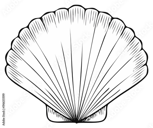 Elegant Hand Drawn Scallop Shell Outline Vector Illustration Marine Life Concept Design Element