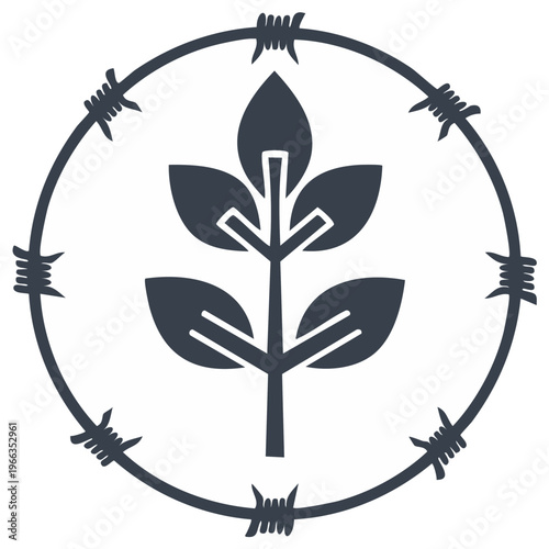 Plant inside barbed wire circle, growth protection concept, restricted nature access, protected agriculture