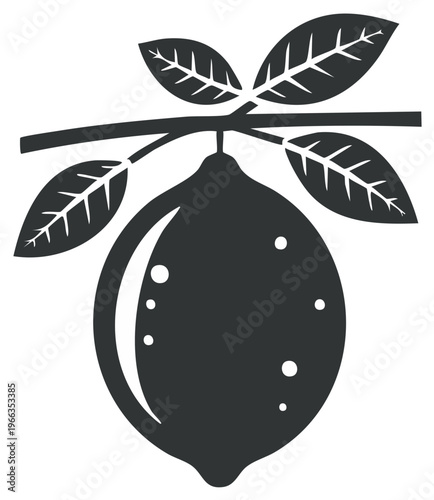 Black and white silhouette of a lemon fruit with leaves on a branch