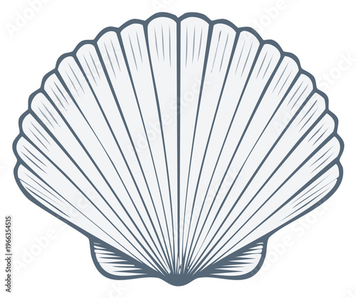 Artistic line drawing of a classic fan shaped scallop seashell