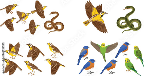 Wildlife vector illustration set featuring flying and perched birds, colorful parrots and budgies, and coiled snakes isolated animal collection