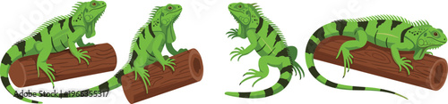 Green iguana lizard vector illustration set with reptiles resting on wooden logs and standing poses isolated wildlife collection