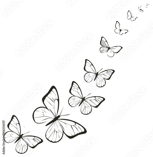 Elegant swarm of black and white butterflies in graceful flight artistic illustration