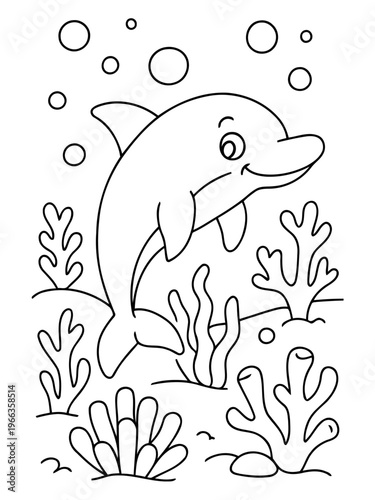 Dolphin illustration