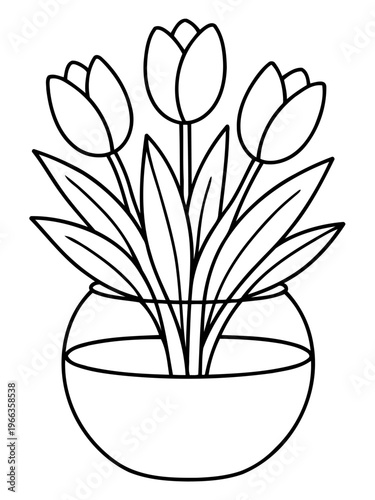 Blooming Tulips in Glass Vase: A simple yet elegant sketch captures the delicate beauty of three tulips blossoming in a transparent glass vase, showcasing the purity of line and form.