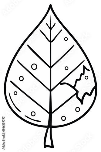 Simple outline illustration of a single leaf with dew drops and a nibbled edge