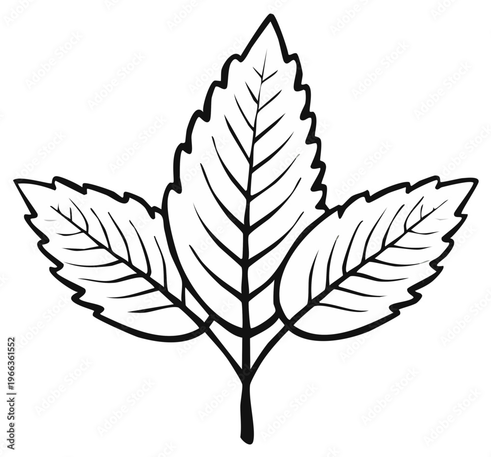 Fototapeta premium Black and white leaf illustration, decorative plant design, botanical art