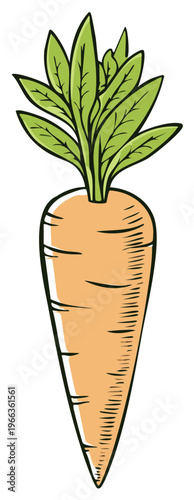 Cartoon-style carrot vegetable with green leaves, dietary healthy food illustration.