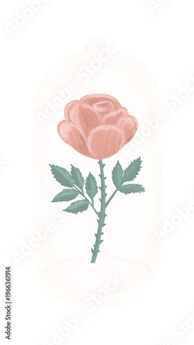 Hand drawn rose element transparent png