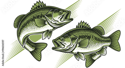 Two Bass Fish Illustration, Fishing Sport Concept, Vector Art