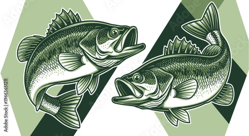 Two Bass Fish Illustration, Fishing Sport, Wild Nature, Aquatic Life