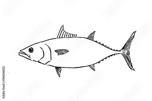 Skipjack tuna (katsuo) side view ink brush vector illustration