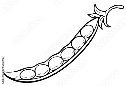 Simple Line Drawing of a Fresh Pea Pod with Six Green Peas Inside and Stem