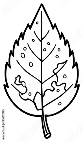 Illustration of leaf showing insect damage or pest damage in black and white, natural damage
