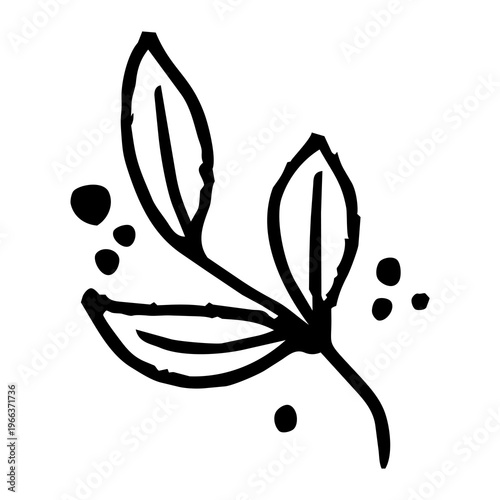 PNG Minimalist botanical line art on transparent background