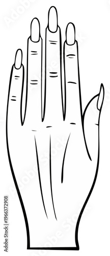 Woman Hand Line Art with Long Manicured Nails Fingers