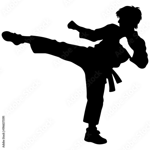 Martial arts silhouette of a person performing a high kick