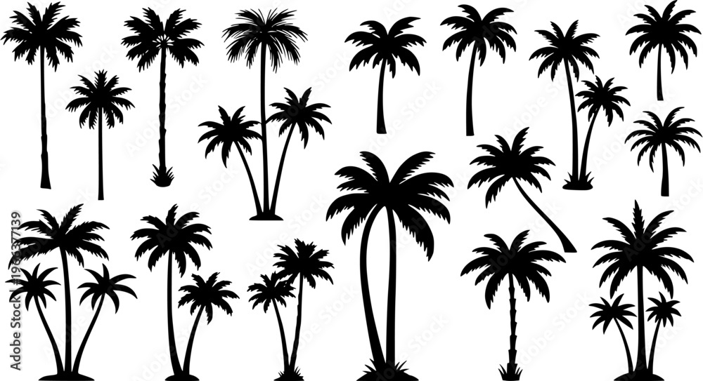 Fototapeta premium Diverse Tropical Palm Tree Silhouettes Vector Collection. Black and white, various shapes, sizes, and clusters for summer, beach, travel, and vacation designs.