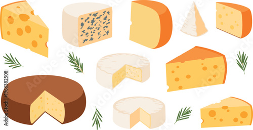 Assorted cheeses in wedges, wheels, and blocks with herbs, showing textures, holes, rinds, and mold in vector illustration