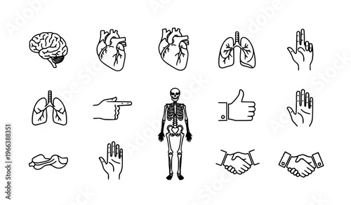 Healthcare anatomy line icon collection vector illustration