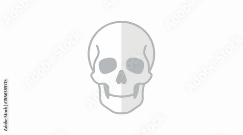 Human Skull Illustration.