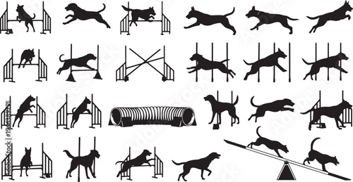 dog agility training obstacles course set flat design vector illustration