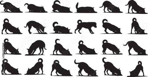 dog life stages and activities flat design vector illustration set