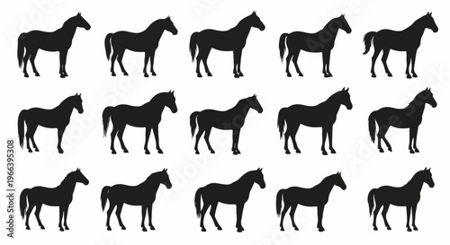 vector illustration set of horse silhouettes on white background