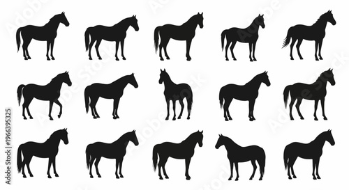 vector illustration set of horse silhouettes on white background