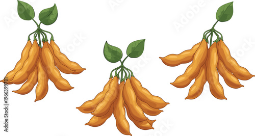 Orange-yellow hanging flowers with green leaves in stylized botanical vector illustration