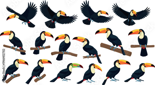 Set of Cartoon Toucan Birds in Different Poses and Flying for Animal and Nature Illustrations