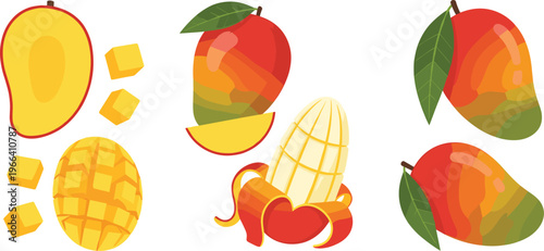 Fresh and Vibrant Mango Collection Featuring Sliced, Peeled, and Whole Mango Illustrations for Tropical Fruit Designs