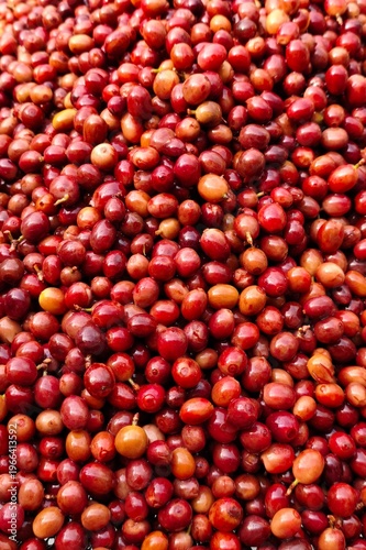 close up of fresh coffee beans for background