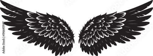 Black and white angel wings isolated on white background