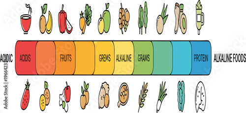 Alkaline and Acidic Foods Chart with Fruits, Vegetables and Nutrition Categories, Colorful Illustration for Healthy Diet and Food Balance