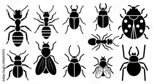 Diverse Insect and Bug Vector Icon Set on Isolated White Background