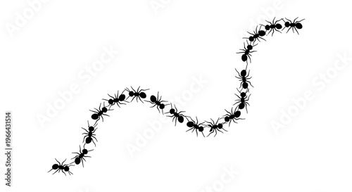 Black Silhouette Ant Trail Following a Winding Path on Isolated White Background