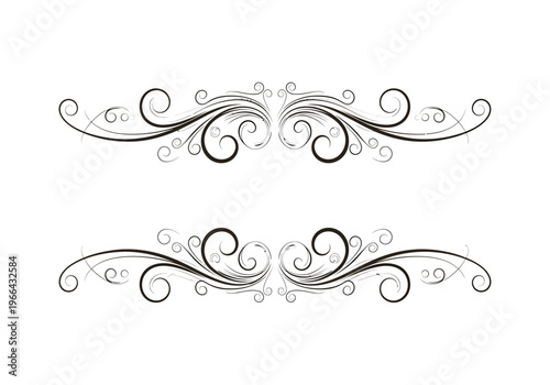 Elegant ornamental flourish designs with symmetrical curls and thin lines on white background