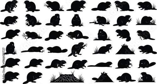 Beaver silhouettes set featuring North American beavers in various poses gnawing wood swimming building dams and lodges for wildlife nature design