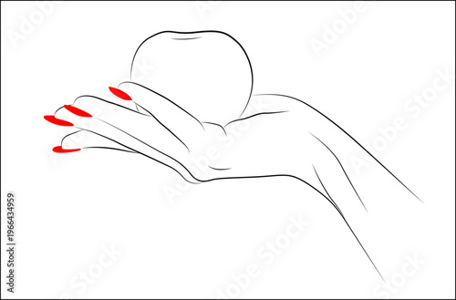 Hand cradles a smooth, round fruit. Red nail polish adds a bold contrast. Simple lines convey gentle care. Ideal for wellness or food-themed projects. Soft, clean background enhances focus