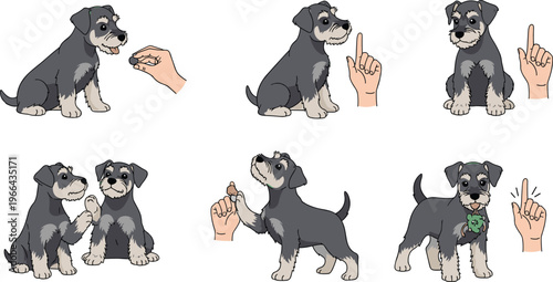 Schnauzer Puppy Vector Set with Cute Sitting, Standing, and Playful Poses, Hand Gesture Training, and Interactive Dog Illustrations for Web, Apps, Print, and Educational Designs