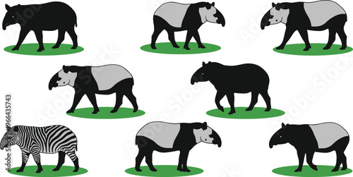 Tapir and Zebra Vector Set Illustrations Showing Multiple Poses with Black and White Tapirs and Striped Zebra for Wildlife, Jungle, Nature, and Animal Designs