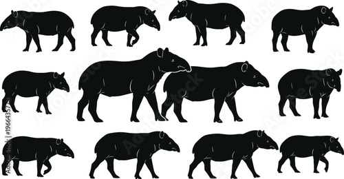 Tapir Vector Silhouette Set with Walking, Standing, and Side Poses for Wildlife, Forest, Animal, and Exotic Mammal Illustrations