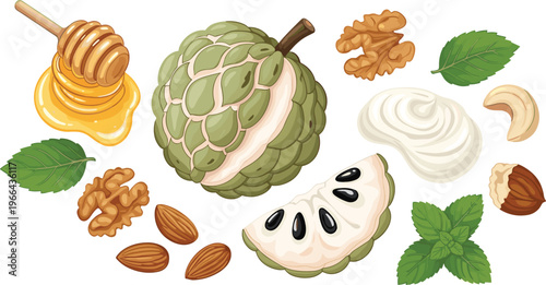 Cherimoya and Nut Ingredients Vector Collection with Sliced Custard Apple, Almonds, Walnuts, Cashews, Hazelnuts, Honey, Cream, and Fresh Mint Leaves